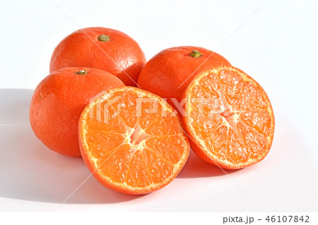 みかん(小原紅早生) みかん(小原紅早生) 46107842