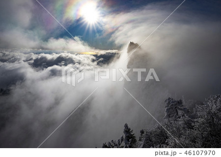 光る土佐湾と天狗岳 46107970