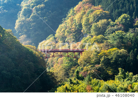松川渓谷の紅葉 松川渓谷の紅葉 46108040