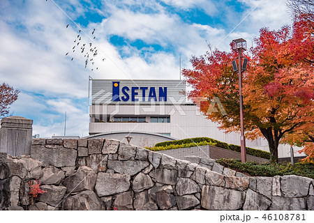【相模大野　公園　紅葉】 46108781