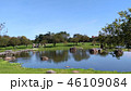 知床五湖 湖岸 景色 46109084