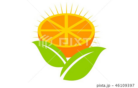 Orange Logo Design Template Vector Orange Logo Design Template Vector 46109397