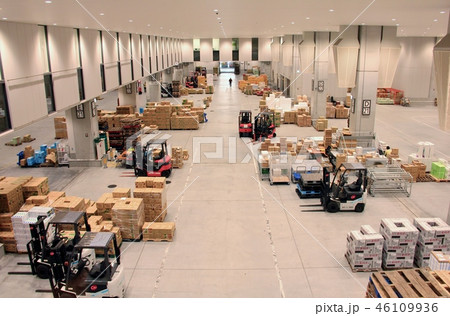 豊洲市場 46109936