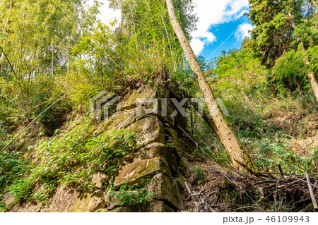 豊臣秀次居館跡の石垣 46109943