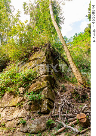 豊臣秀次居館跡の石垣 46109944