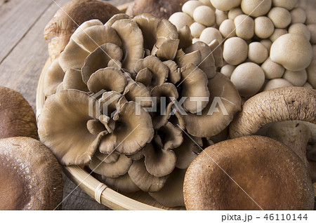 きのこ盛り合わせ きのこ盛り合わせ 46110144