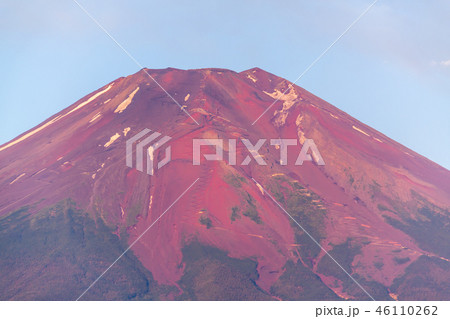 夏の花の都公園から赤富士 46110262