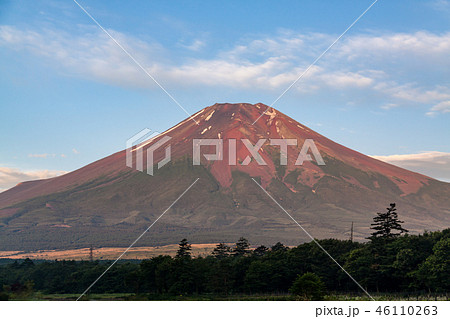 夏の花の都公園から赤富士 46110263