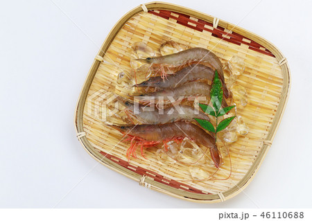 ざるに乗せたよしえび ざるに乗せたよしえび 46110688