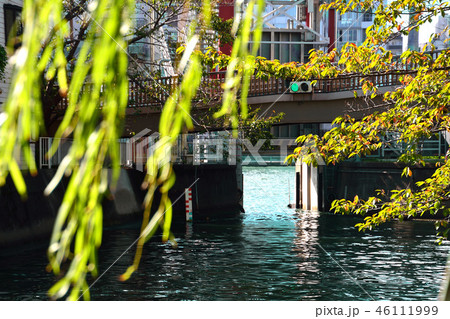 東京都佃島の佃堀の風景 46111999