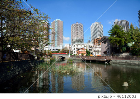 東京都佃島の佃堀の風景 46112003