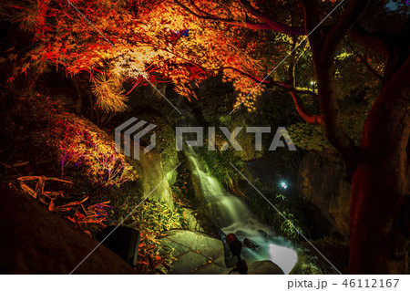 目白庭園 46112167