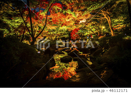 大田黒公園 大田黒公園 46112171