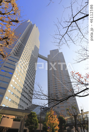 秋の聖路加ガーデン 46112586