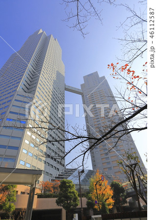 秋の聖路加ガーデン 46112587