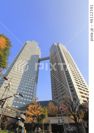 秋の聖路加ガーデン 46112591