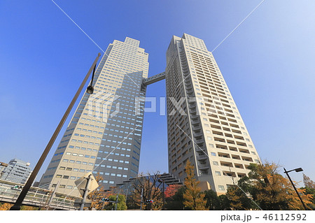 秋の聖路加ガーデン 46112592