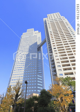 秋の聖路加ガーデン 46112593