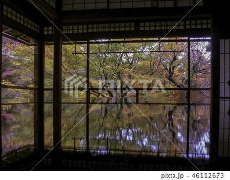 瑠璃光院の紅葉 46112673