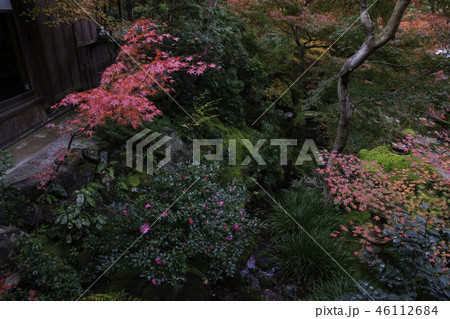 瑠璃光院の紅葉 瑠璃光院の紅葉 46112684