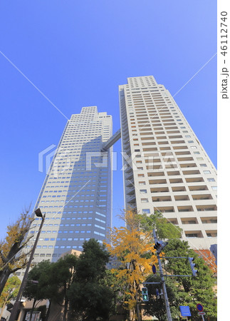 秋の聖路加ガーデン 46112740