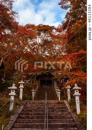 西光寺の紅葉 46113264
