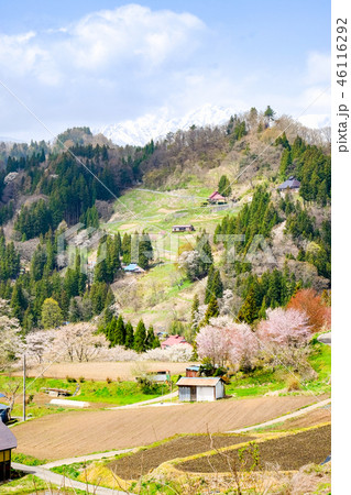 春の信州・小川村 春の信州・小川村 46116292