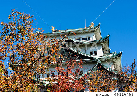 名古屋城 46116463