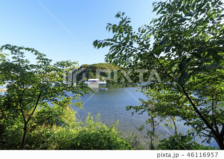 小網代の森 46116957