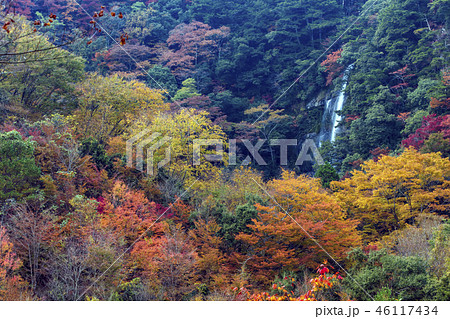 五家荘の紅葉 五家荘の紅葉 46117434