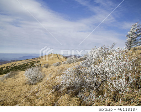 小白山 丹陽郡 チョルチュク 46118187