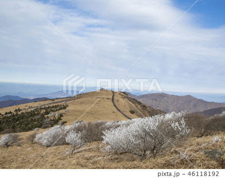 小白山 丹陽郡 チョルチュク 46118192