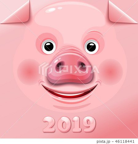 Funny pig face for 2019 Chinese New Year Funny pig face for 2019 Chinese New Year 46118441