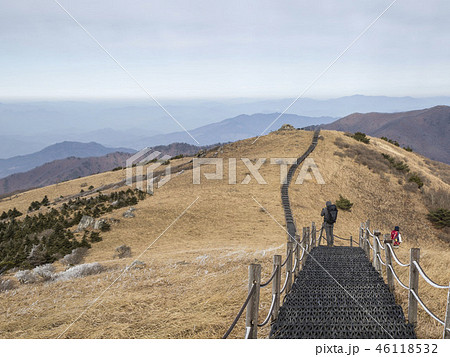 小白山 国立公園 丹陽郡 46118532