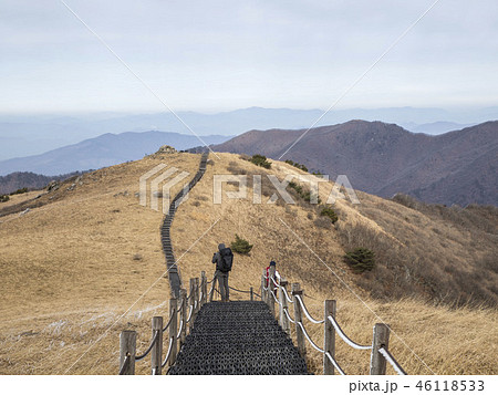 小白山 国立公園 丹陽郡 46118533