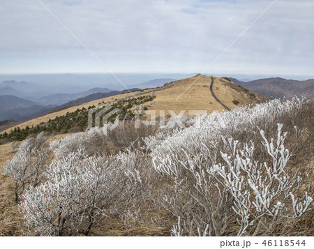 小白山 国立公園 丹陽郡 46118544