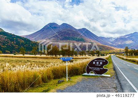 長者原の草紅葉 【大分県玖珠郡九重町】 長者原の草紅葉 【大分県玖珠郡九重町】 46119277