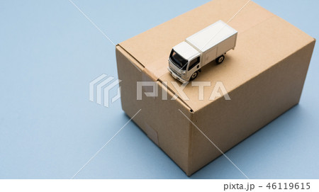 静物写真 46119615