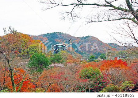 別府ロープウエイ 46119955