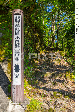 「伯母子岳～三田谷」世界遺産、熊野古道「小辺路」登山口（奈良県吉野）※作品コメント欄に撮影位置あり 46120427