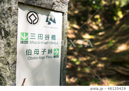 「伯母子岳～三田谷」世界遺産、熊野古道「小辺路」登山道（奈良県吉野）※作品コメント欄に撮影位置あり 46120429