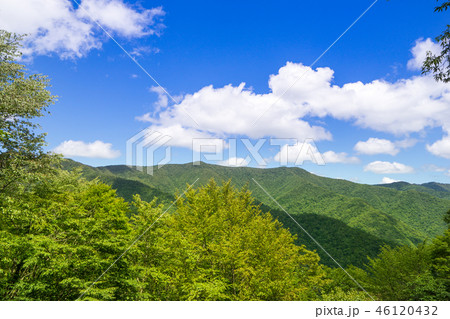 伯母子岳～三田谷、熊野古道「小辺路」小辺路、縦走路の風景（奈良県吉野）※作品コメント欄に撮影位置あり 46120432