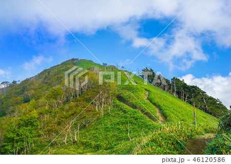 「剣山」一の森縦走路。鞍部から見上げた、一の森方面の風景。（徳島県）※作品コメント欄に撮影位置あり 46120586
