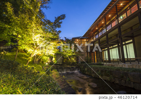 愛知県 名古屋市 徳川園の紅葉夜景 愛知県 名古屋市 徳川園の紅葉夜景 46120714