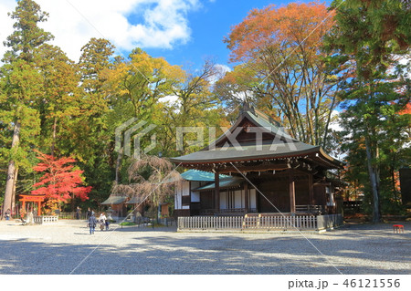 多賀大社　能舞台 46121556