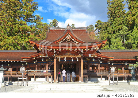 多賀大社　拝殿 46121565