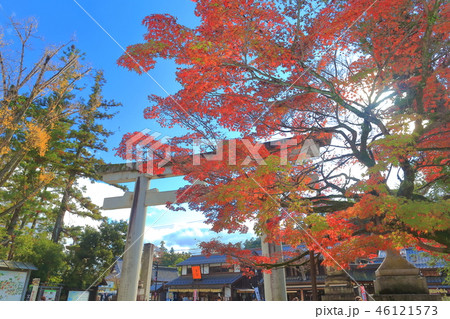 多賀大社　石鳥居 46121573