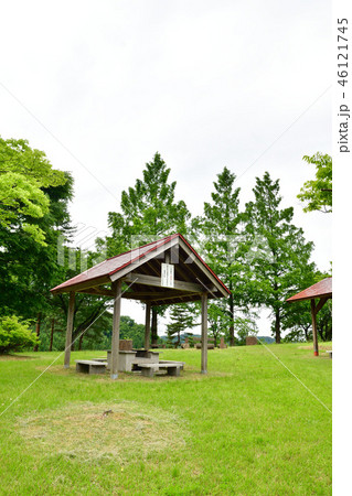 大石ダム湖畔県民休養地(新潟県) 大石ダム湖畔県民休養地(新潟県) 46121745