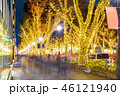 Winter Night Illumination in Omotesando, Tokyo 46121940
