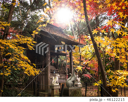 神社と紅葉 神社と紅葉 46122215